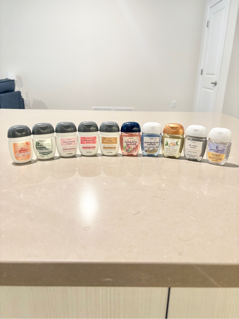 Bath & Body Works PocketBac Lot Bundle | 10 Mixed Hand Gels Gift Set